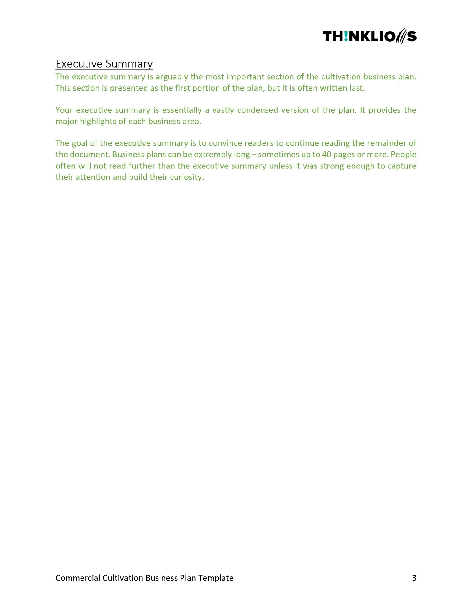 business plan - page 3